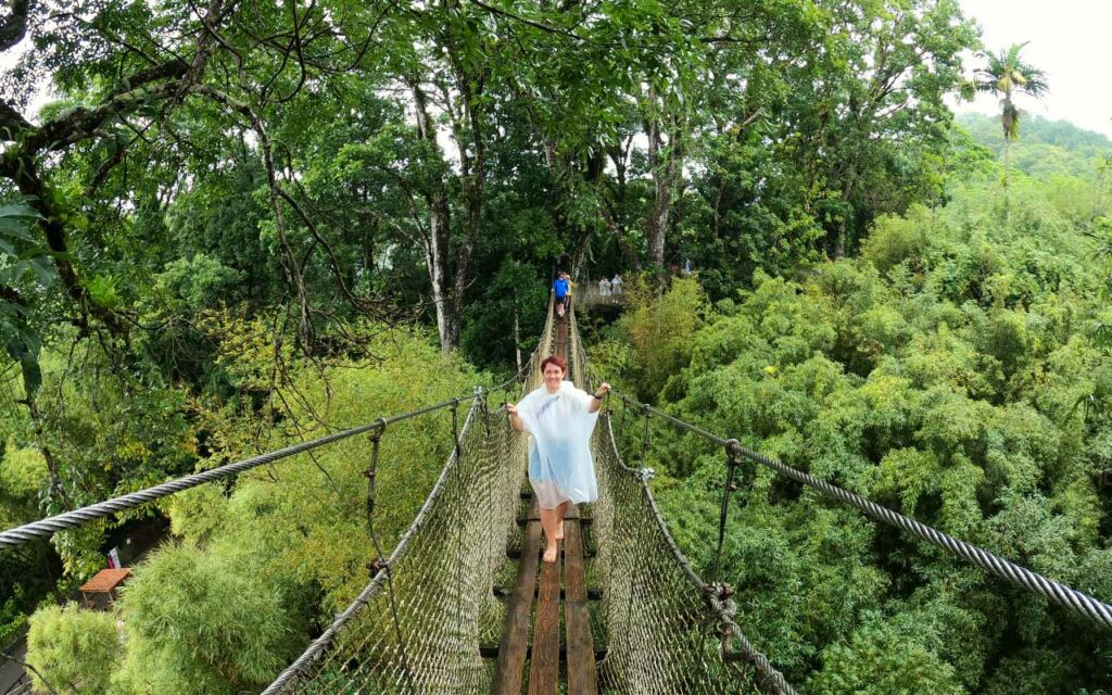 Marta Impiegata Giramondo su di un ponte sospeso nella foresta dei giardini di Balata a Martinica