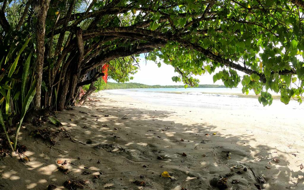 Spiaggia selvaggia Martinica