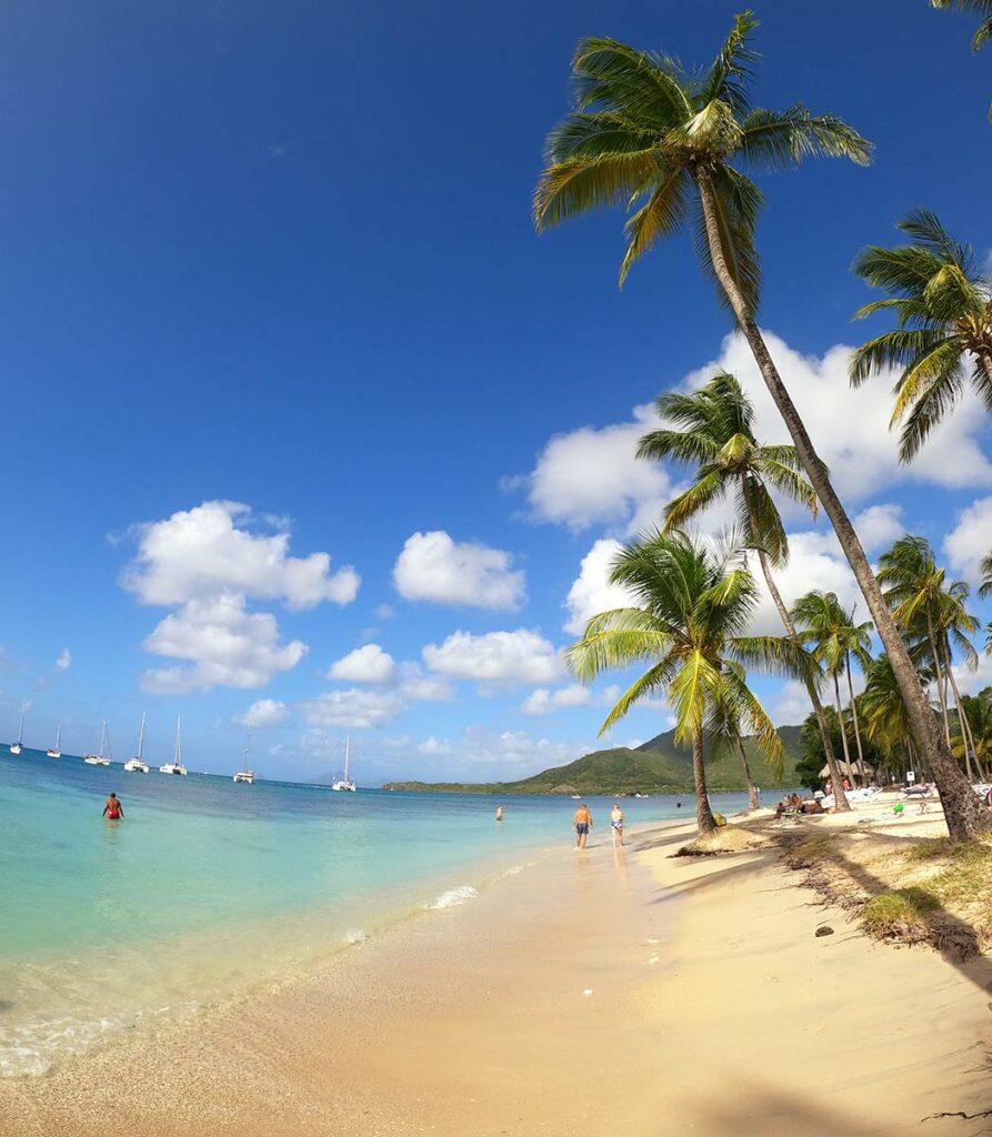 Spiaggia caraibica di Martinica
